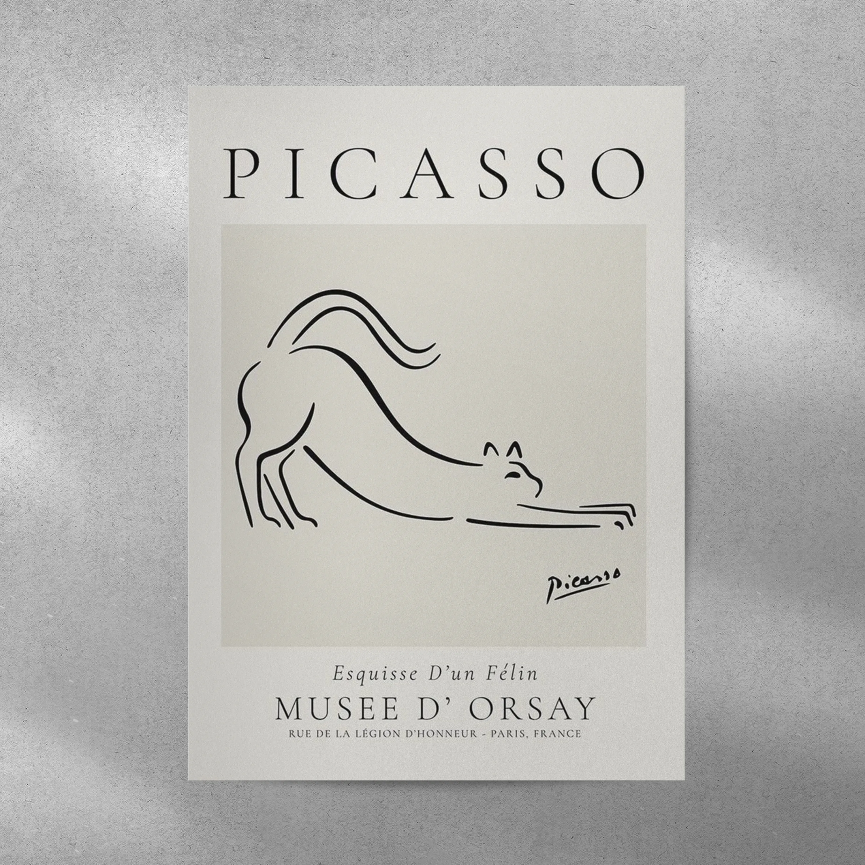 Picasso Abstract Aesthetic Metal Poster
