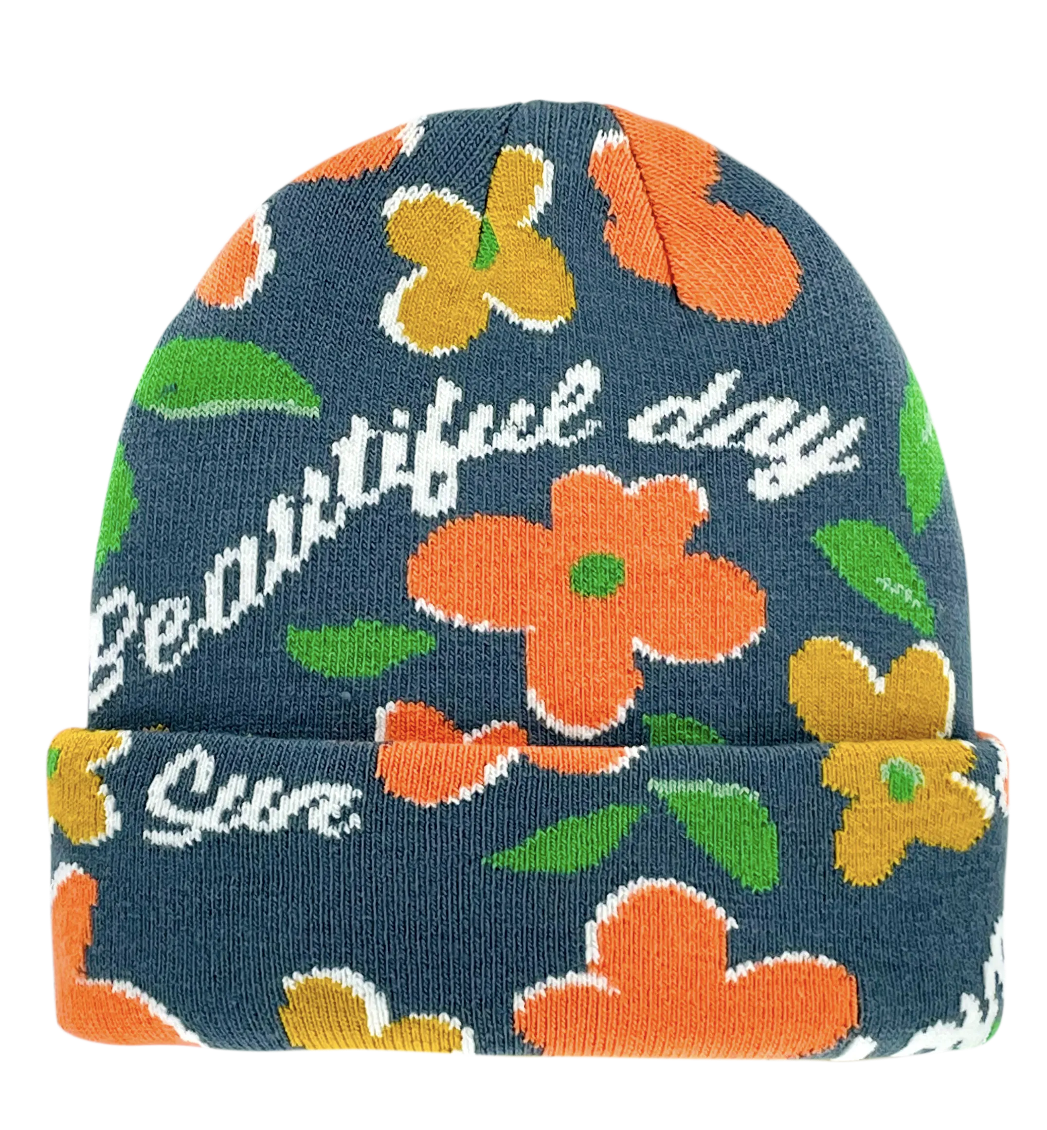 Whistler Freerider Beanie